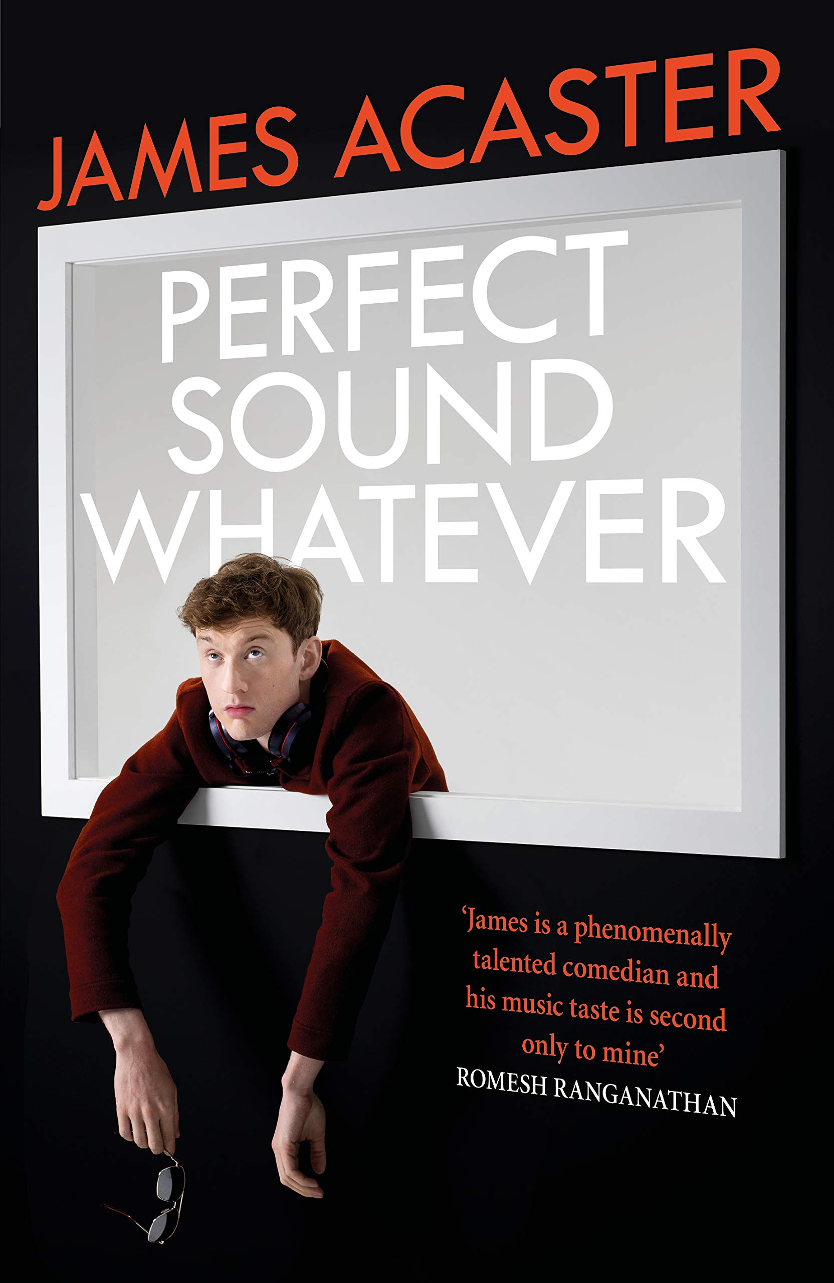 Poster for Perfect Sound Whatever